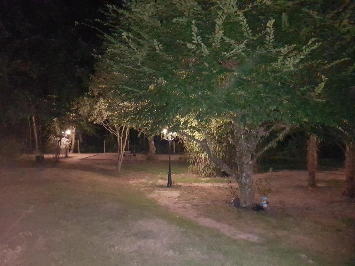 Domaine De Sahil Acomodação com café da manhã Saint-Romain-sur-Cher Exterior foto