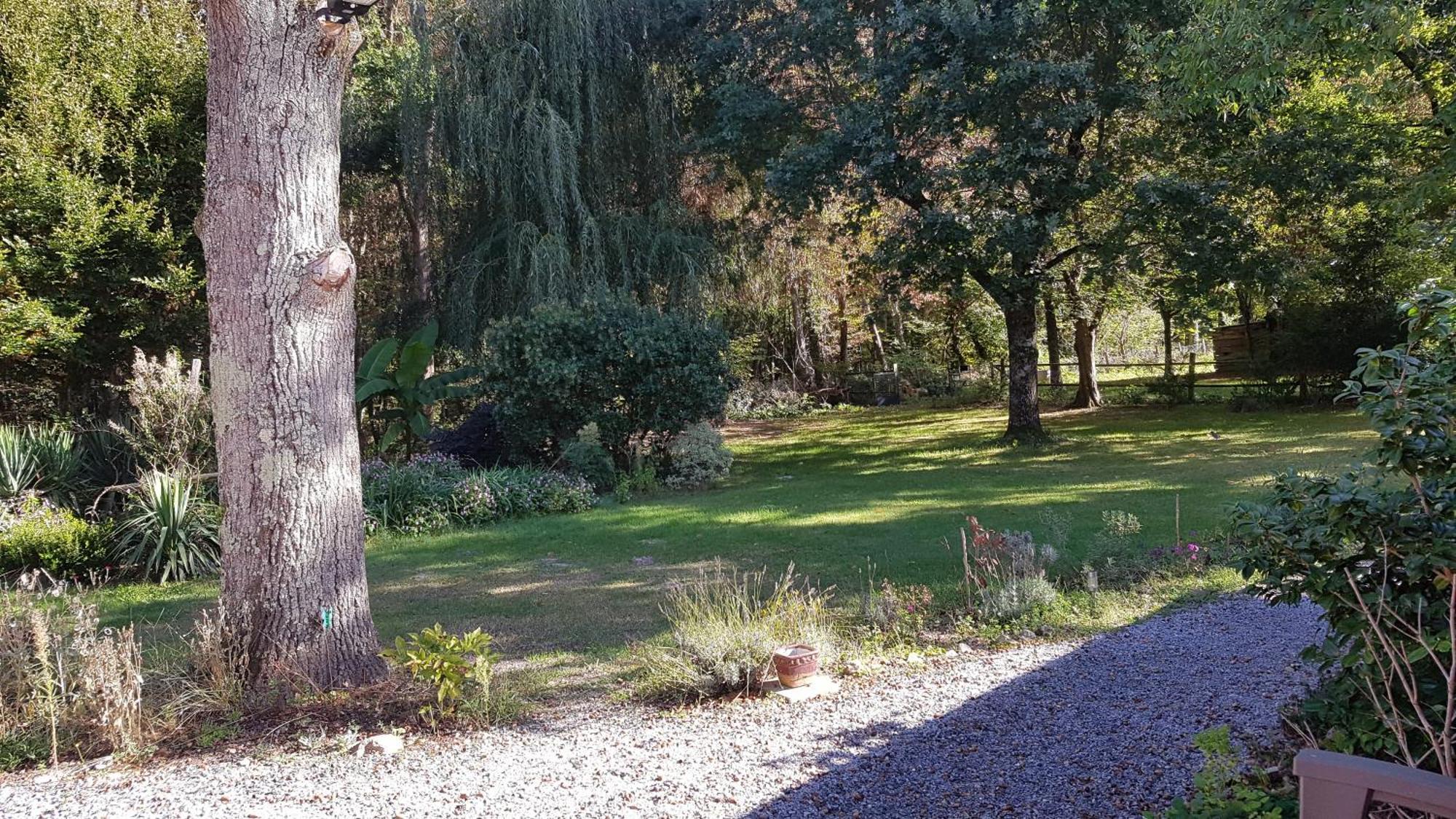 Domaine De Sahil Acomodação com café da manhã Saint-Romain-sur-Cher Exterior foto
